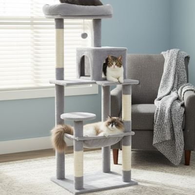 Arbre à chat