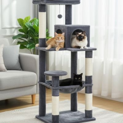 Arbre à chat