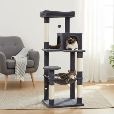 Arbre à chat