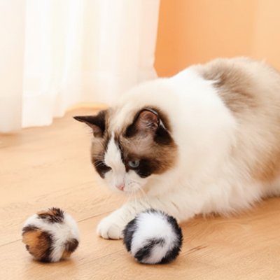 Balle pour chat