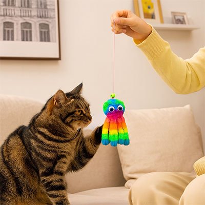 Jeux pour Chat