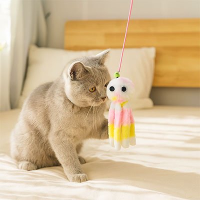Jeux pour Chat