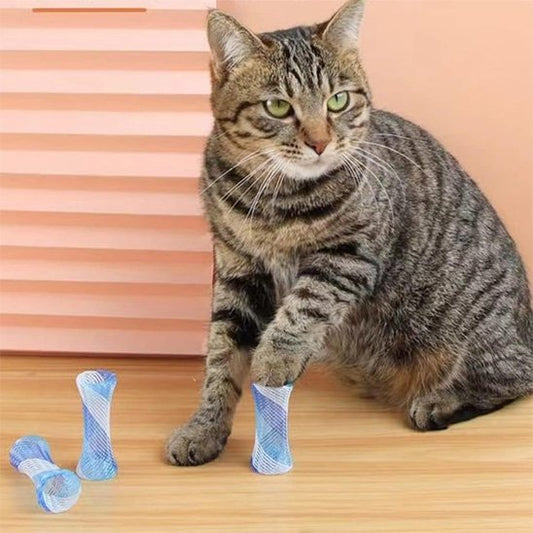 Jouet chat