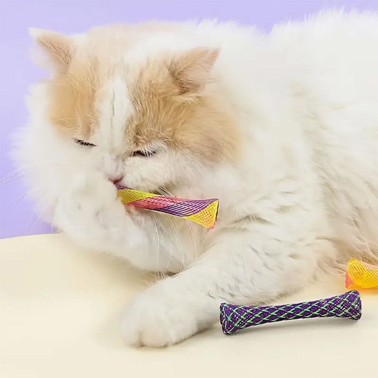 Jouet chat