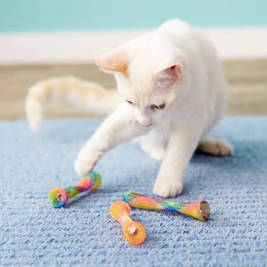 Jouet chat