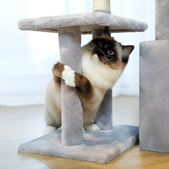 Petit arbre a chat​