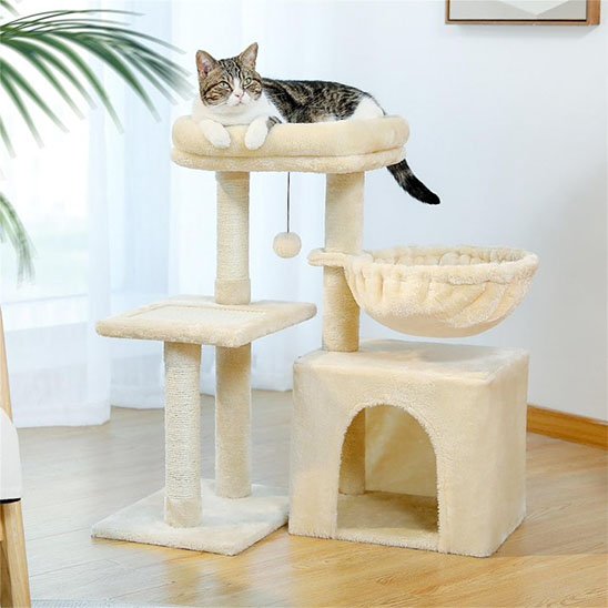 Petit arbre a chat​