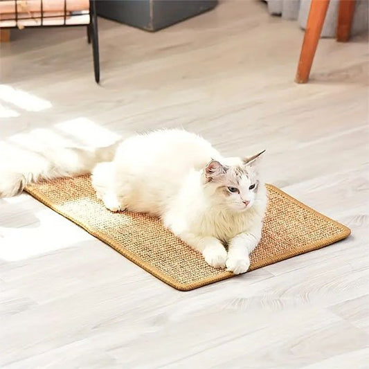 Griffoir chat | EcoPaw - Chatmuser