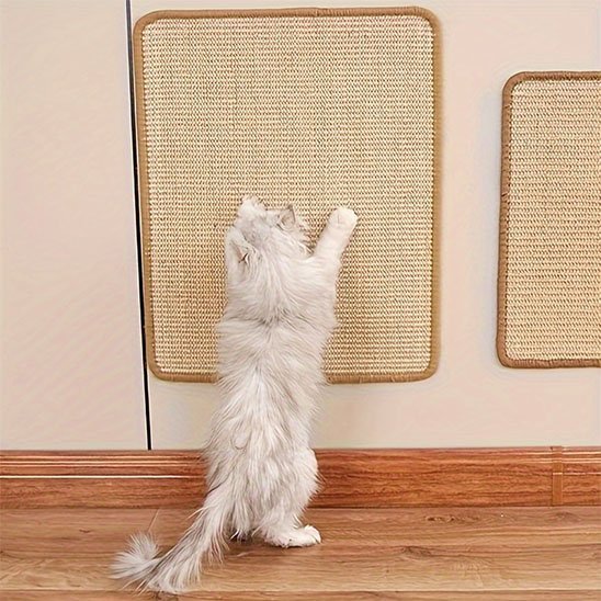 Griffoir chat | EcoPaw - Chatmuser