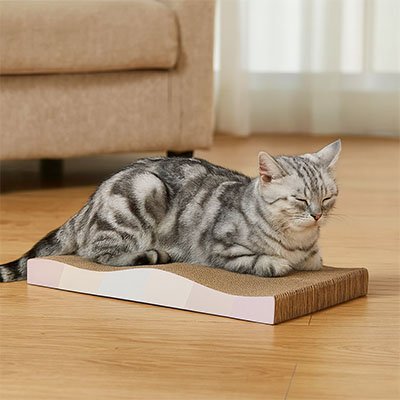 Griffoir en carton pour Chat | ÉcoDurable - Chatmuser