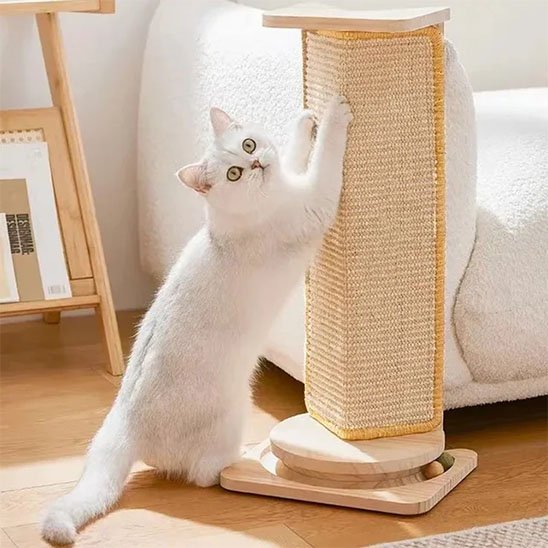 Griffoir chat | EcoPaw - Chatmuser
