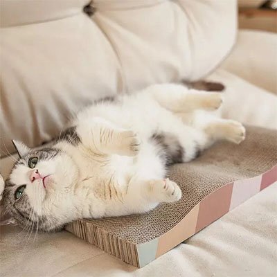 Griffoir en carton pour Chat | ÉcoDurable - Chatmuser