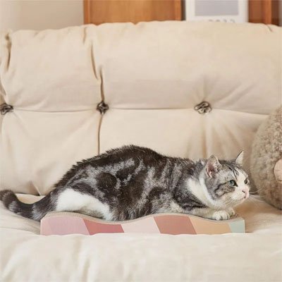 Griffoir en carton pour Chat | ÉcoDurable - Chatmuser