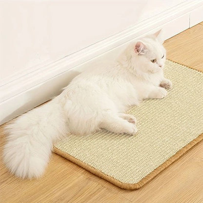 Griffoir chat | EcoPaw - Chatmuser