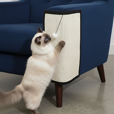 Tapis griffoir Chat